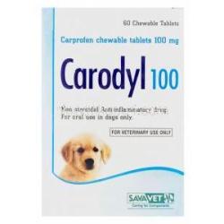 カロディル（カロダイル）　Carodyl100、カルプロフェンチュアブル錠100mg　箱