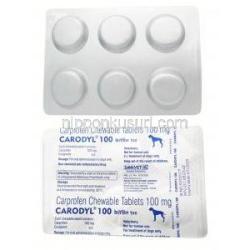 カロディル  100, カプロフェン 100 mg, 6 錠, 製造元：Sava Vet, シート表面, シート裏面