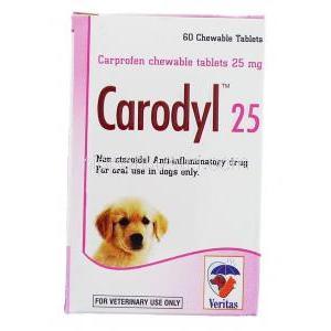 カプロフェン, カロディル Carodyl, 25mg チュワブル錠 (Pfizer) 箱