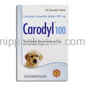 カプロフェン, カロディル Carodyl, 100mg チュワブル錠 (Sava Medicare) 箱