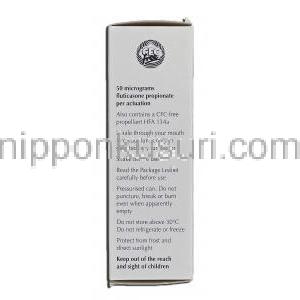 フリゾタイド エボヘイラー Flixotide Evohaler, プロピオン酸フルチカゾン, 50mg, 錠 箱記載情報