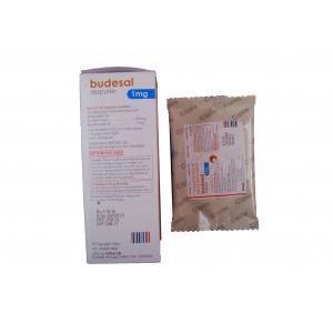 ブデサールレスピュール,　レバルブテロール 1.25mg/ブデソニド 1mg  2ml 情報