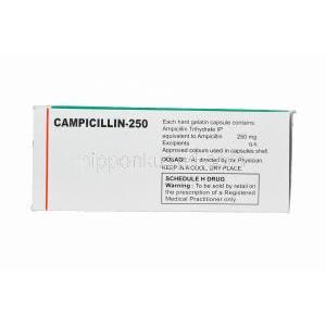 カンピシリン, アンピシリン 250mg　箱情報