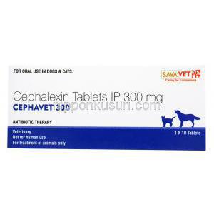 セファベット, セファレキシン 300mg, 犬猫経口薬,1シート10錠入り,　箱表面