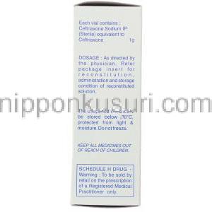 オフラマックス Oframax, ロセフィン ジェネリック, セフトリアキソンナトリウム 1gm / 10ml 注射 (Ranbaxy)