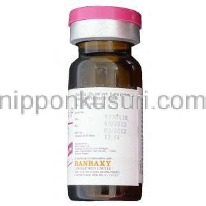 ゲンタマイシン 注射 (Ranbaxy) 製造者情報