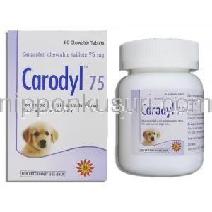 カプロフェン, カロディル Carodyl, 75mg チュアブル錠 (Sava Medicare)