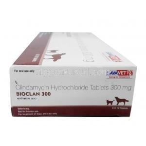 バイオクラン 300 犬猫用, , クリンダマイシン 300mg, 製造元：Sava Vet, 箱側面1