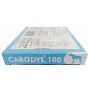 カロディル  100, カプロフェン 100 mg, 6 錠, 製造元：Sava Vet, 箱側面