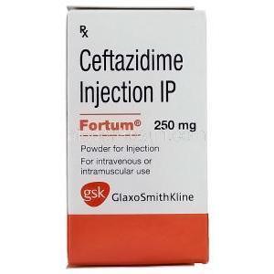 フォータム, セフタジジム Ceftazidime, 注射バイアル 250mg (GSK)