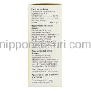 クリンダマイシン塩酸塩（クリンベット / アンチローブ ジェネリック）25mg 20ml  経口投与液