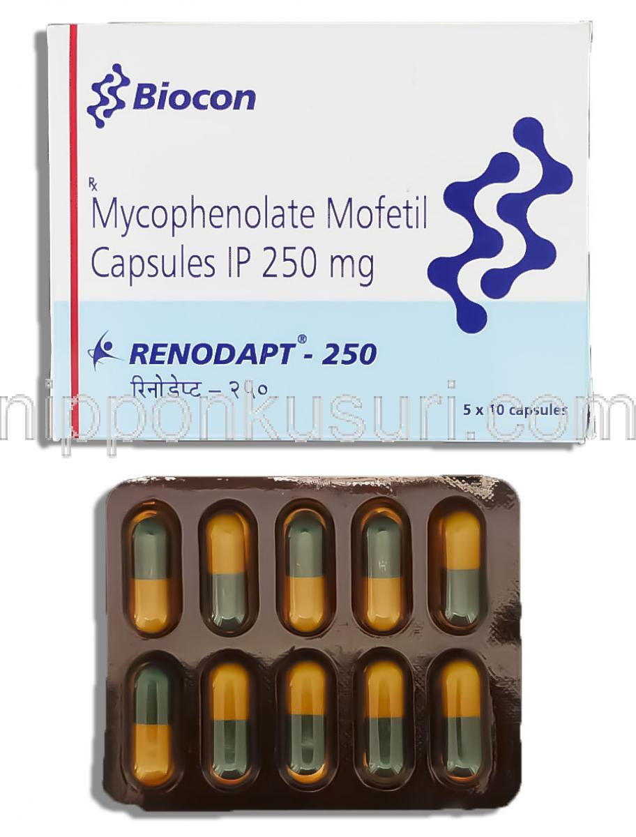 ミコ フェノール 酸 モフェチル